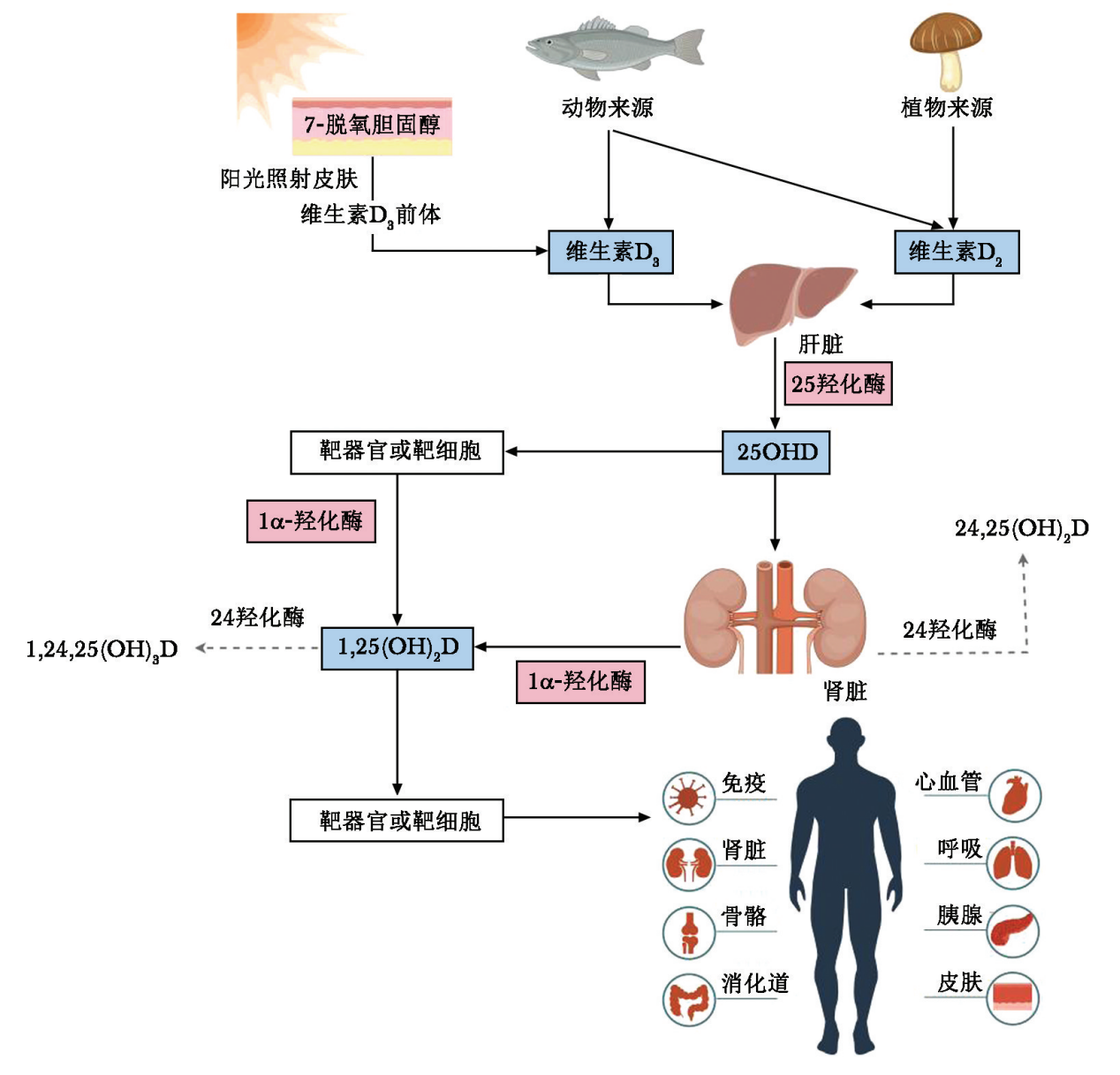 1771898772527018607.png 图片36.png